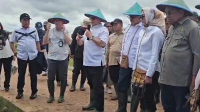 Komisi IV Turun ke Merauke, Prof. Rokhmin : Dukung Lumbung Pangan di Luar Pulau Jawa
