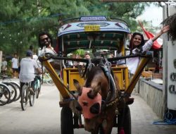 Key Opinion Leader India Tertarik Kemenparekraf Gelar FAM Trip yang Promosikan Bali dan Lombok