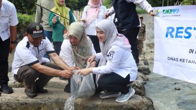 Bukan Gimmick, Sungai Kalijaga Disulap Jadi Kolam Ikan Rasa Wisata