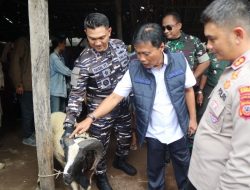 Wali Kota Cirebon Cek Kesehatan Ribuan Hewan Kurban, Ada Label Sehat Lho.