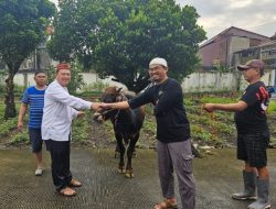 Kemendukbangga/BKKBN Terus Bergerak Turunkan Stunting, Bagikan Daging Kurban ke Warga
