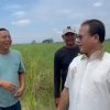 Prof. Rokhmin Serap Aspirasi Petani Tebu di Desa Beringin Kab. Cirebon