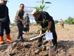 Jaga Lingkungan dan Ketahanan Pangan, Pemkab Cirebon & Kejari Tanam Pohon di Kelurahan Pasalakan