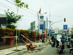 Papan Proyek Disembunyikan, Ada Apa dengan Pekerjaan Perbaikan Trotoar dan Drainase Jalan Kartini Cirebon?