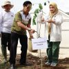 Wakil Walikota Cirebon Bebersih Sampah dan Tanam Pohon di Kel. Kebon Baru, Siti Farida : Ayo Lestarikan Lingkungan!