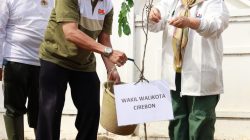 Wakil Walikota Cirebon Bebersih Sampah dan Tanam Pohon di Kel. Kebon Baru, Siti Farida : Ayo Lestarikan Lingkungan!