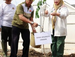 Wakil Walikota Cirebon Bebersih Sampah dan Tanam Pohon di Kel. Kebon Baru, Siti Farida : Ayo Lestarikan Lingkungan!