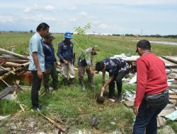 Wakil Bupati Cirebon Tanam Pohon di Jalur Playangan–Bojong Negara, Upaya Mencegah Banjir
