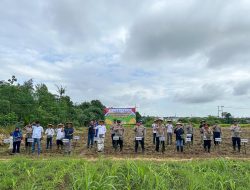 Dukung Swasembada Pangan, Kapolresta Cirebon Pimpin Penanaman Jagung