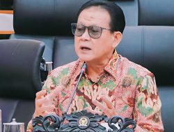 Indonesia Kehilangan Pendapatan Rp 16 Triliun Akibat Penyelundupan Benih Lobster, Prof. Rokhmin : Ada Kejahatan Teroganisir