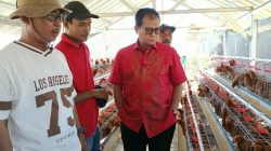 Memastikan Bantuan Berjalan dengan Baik, Prof. Rokhmin Kunjungi Kelompok Penerima Program Ayam Petelur